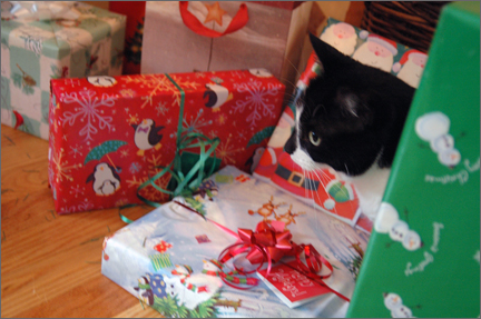 giftcat.jpg