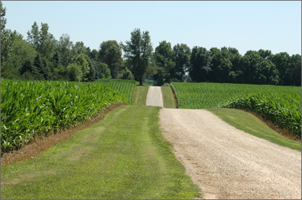 longdriveway.jpg