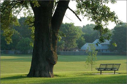 morningatpark.jpg