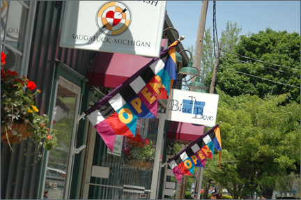 saugflags.jpg