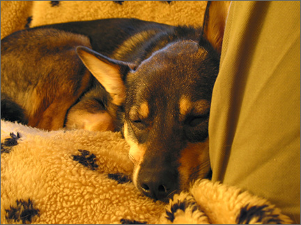 sleepyjuli.jpg