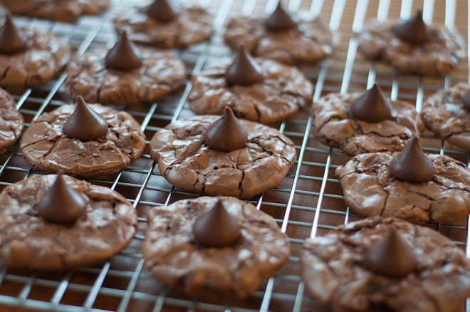 Baking and bothersome cats